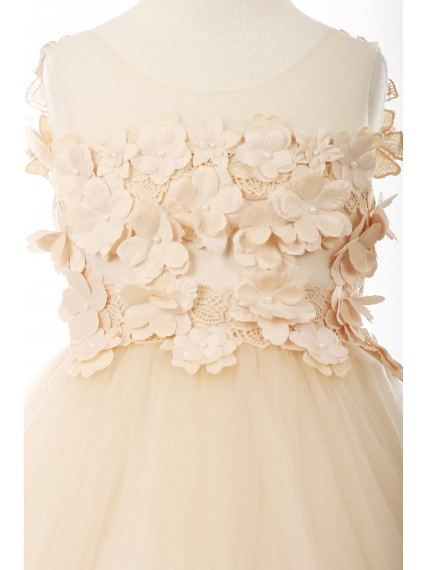 Girls Multi Color Lace 3D Flowers Pearl Trim Tulle Special Occasion Dress 2-16