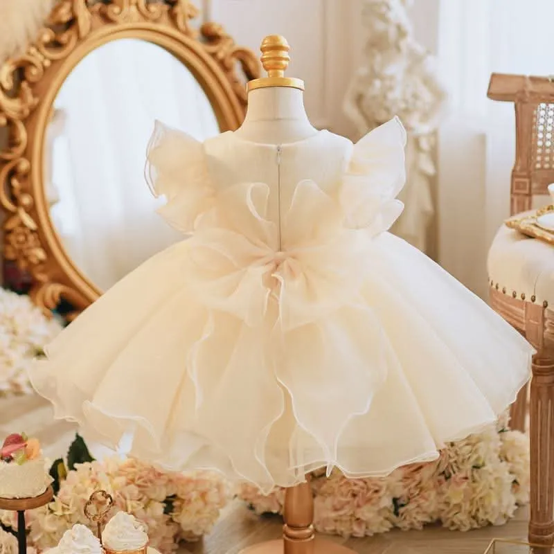 Little flying sleeve baby shower princess dress Dreamy Floral Embroidered Dress
