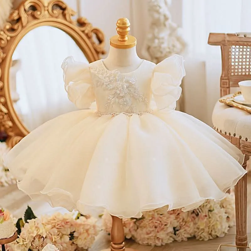 Little flying sleeve baby shower princess dress Dreamy Floral Embroidered Dress