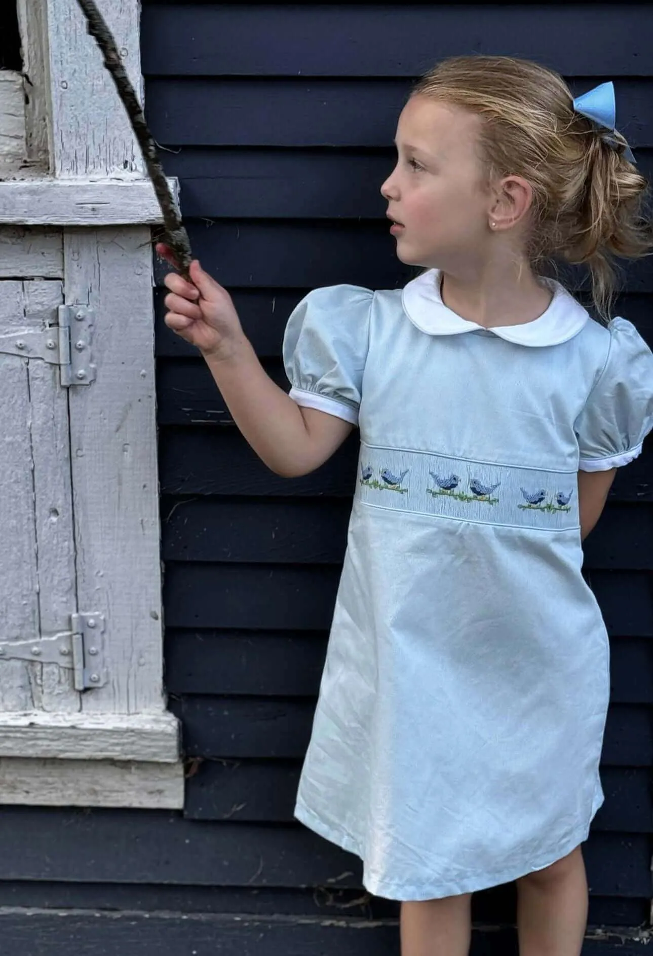 Smocked Sky Lovebird Dress
